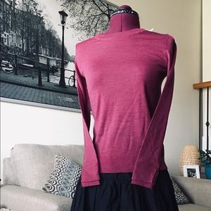 NWT! Banana Republic crew neck Marino Wool sweater